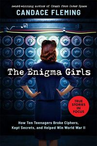 Cover image for Enigma Girls
