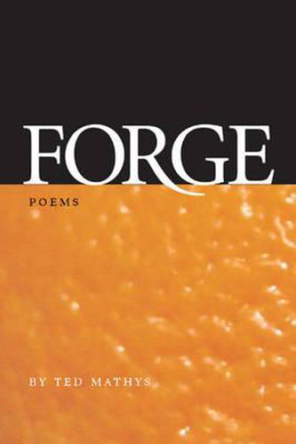 Cover image for Forge