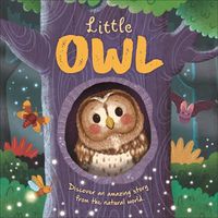 Cover image for Little Owl