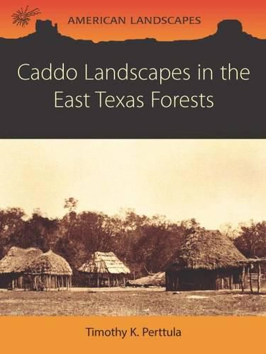 Cover image for Caddo Landscapes in the East Texas Forests