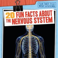 Cover image for 20 Fun Facts about the Nervous System