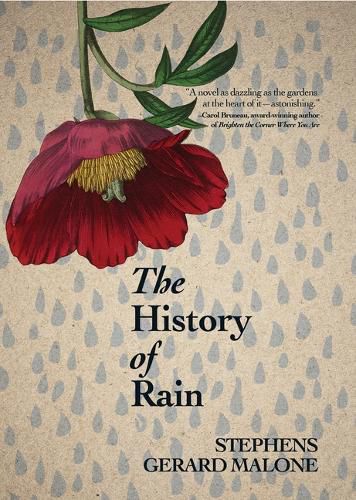 Cover image for The History of Rain