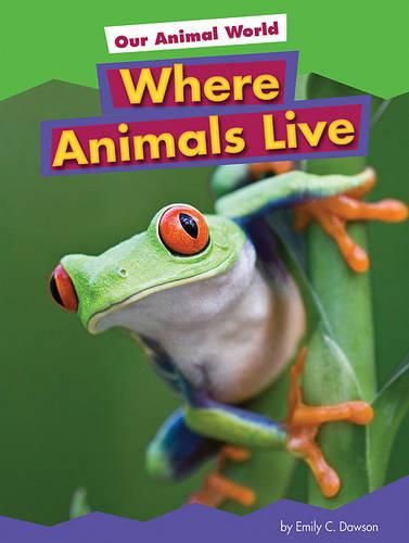 Cover image for Where Animals Live