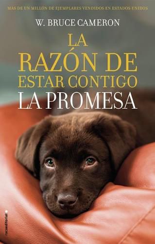 Cover image for La Promesa/ A Dog's Promise