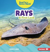 Cover image for Rays: A First Look