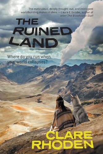 Cover image for The Ruined Land