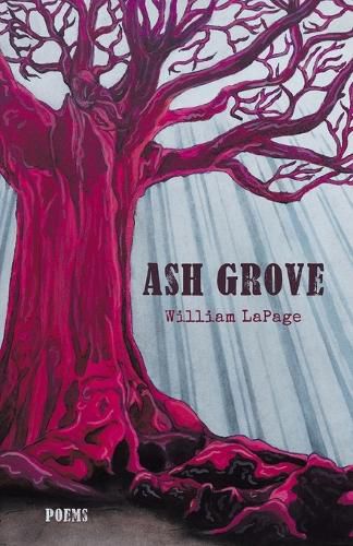 Cover image for Ash Grove