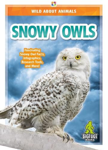 Snowy Owls