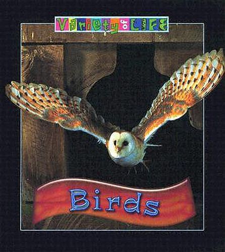 Cover image for Birds