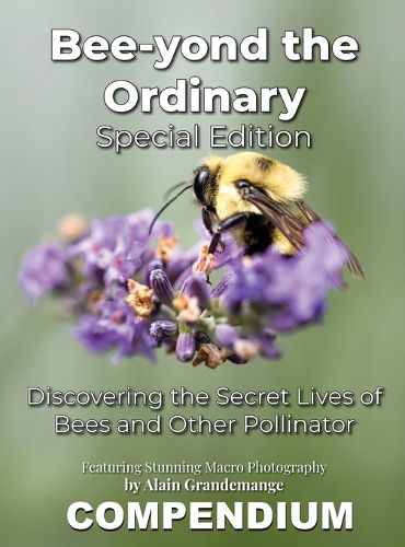 Cover image for Bee-yond the Ordinary