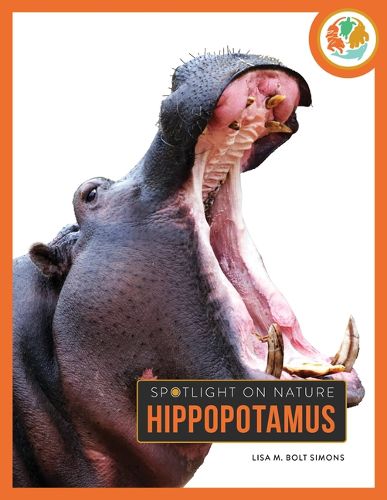 Cover image for Hippopotamus
