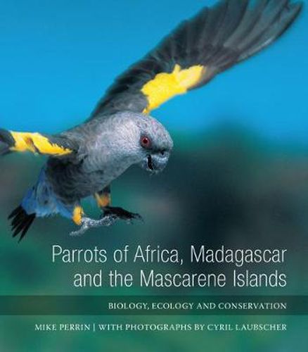 Cover image for Parrots of Africa, Madagascar and the Mascarene Islands: Biology, ecology and conservation