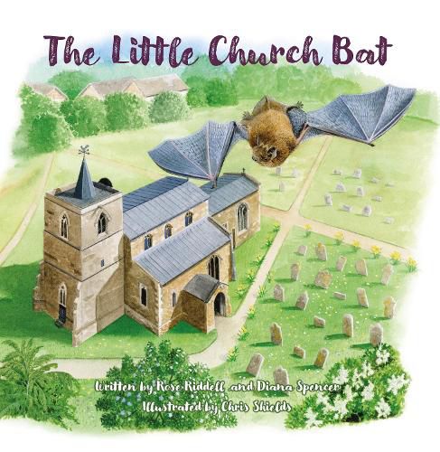 The Little Church Bat