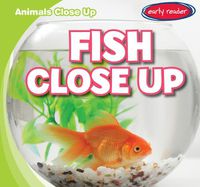 Cover image for Fish Close Up
