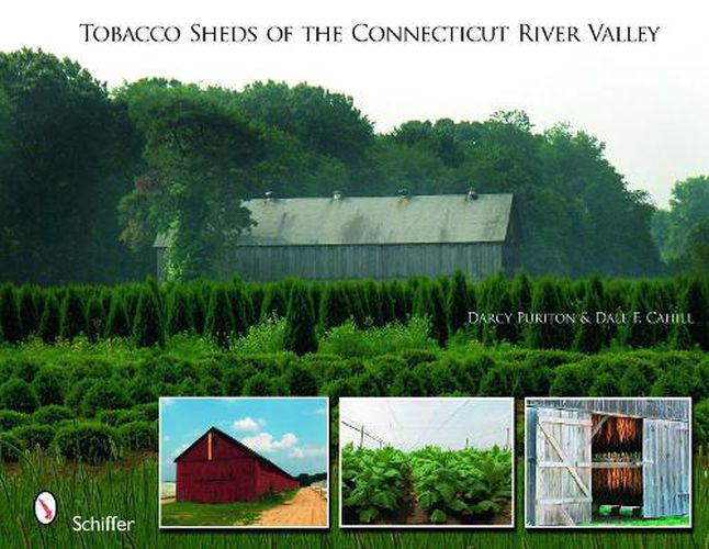 Cover image for Tobacco Sheds: Of the Connecticut River Valley