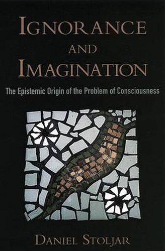 Cover image for Ignorance and Imagination: The Epistemic Origin of the Problem of Consciousness