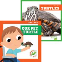 Cover image for Turtles + Our Pet Turtle