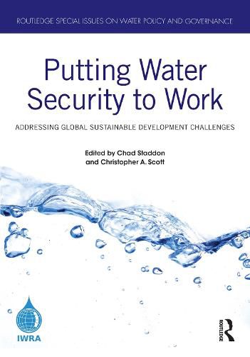 Cover image for Putting Water Security to Work