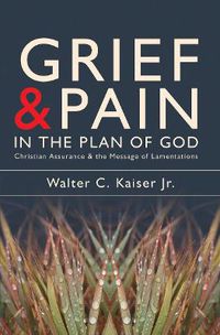 Cover image for Grief and Pain in the Plan of God: Christian Assurance and the message of Lamentations