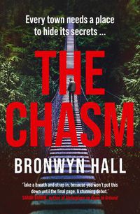 Cover image for The Chasm