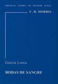 Cover image for Garcia Lorca: Bodas de Sangre