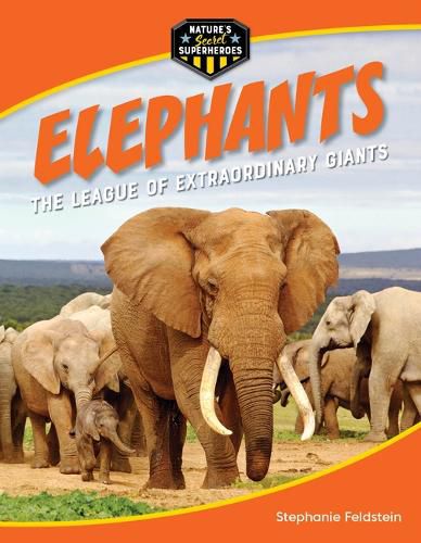 Cover image for Elephants