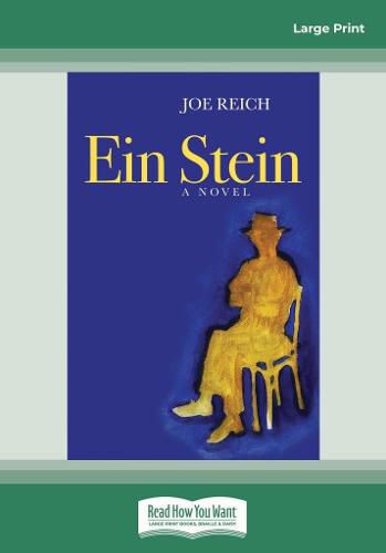 Ein Stein: A novel