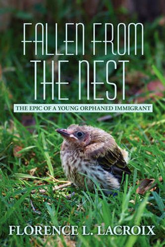 Cover image for Fallen from the Nest