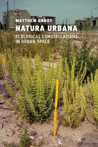 Cover image for Natura Urbana