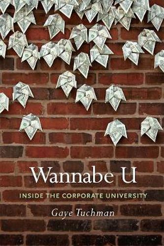 Cover image for Wannabe U: Inside the Corporate University