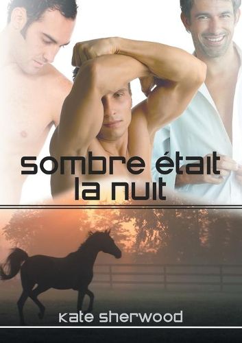 Cover image for Sombre Etait La Nuit (Translation)