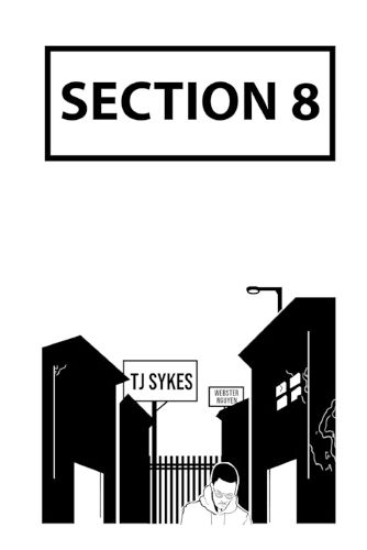 Cover image for Section 8