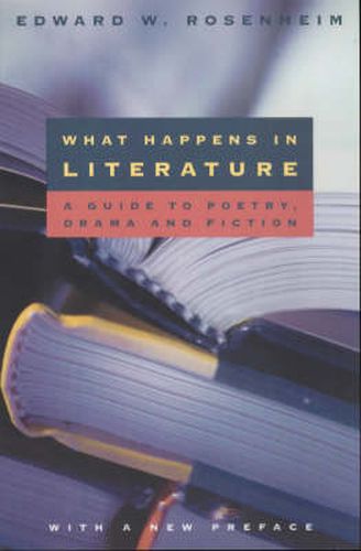 Cover image for What Happens in Literature