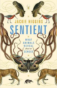 Cover image for Sentient: What Animals Reveal About Our Senses