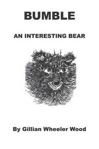 Cover image for Bumble an Interesting Bear