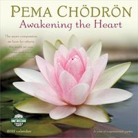 Cover image for Pema Chodron 2022 Wall Calendar