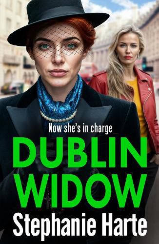 Cover image for Dublin Widow