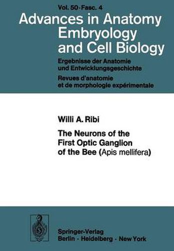 Cover image for The Neurons of the First Optic Ganglion of the Bee (Apis mellifera)