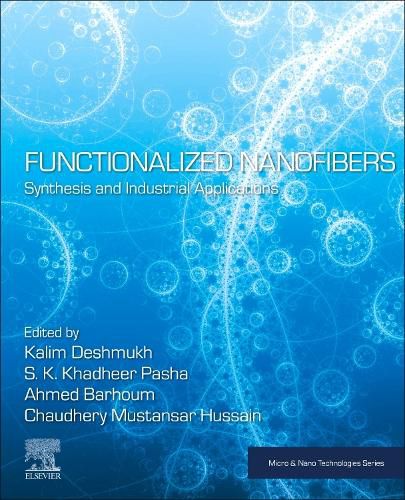 Cover image for Functionalized Nanofibers