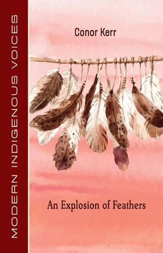 Cover image for An Explosion of Feathers