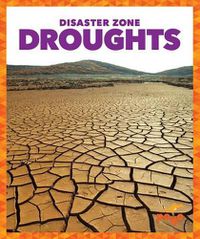 Cover image for Droughts