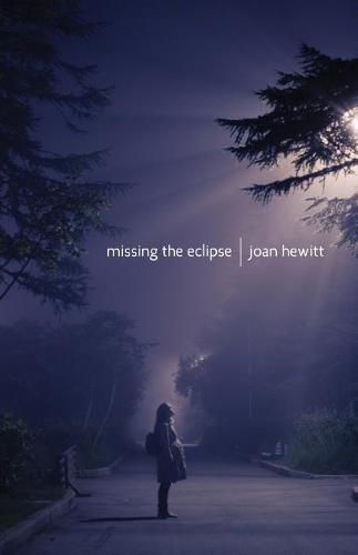 Cover image for Missing the Eclipse