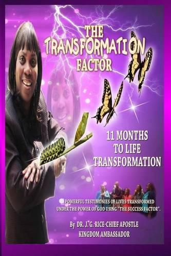 Cover image for The Transformation Factor