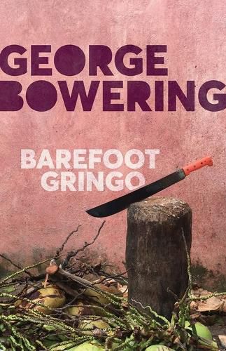 Cover image for Barefoot Gringo