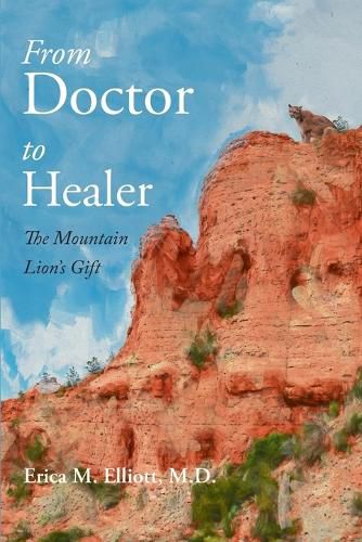 Cover image for From Doctor to Healer
