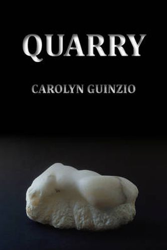 Cover image for Quarry