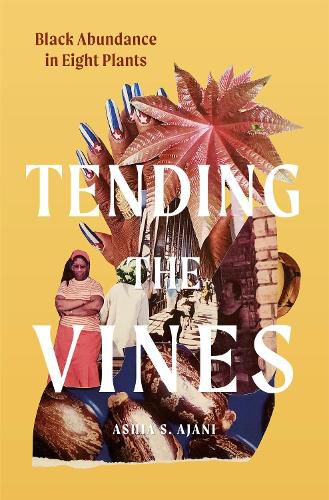 Cover image for Tending the Vines