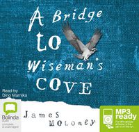 Cover image for A Bridge To Wiseman's Cove