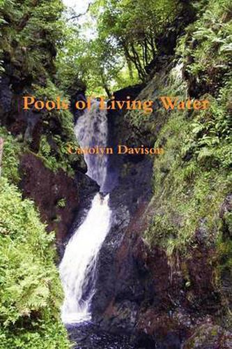 Cover image for Pools of Living Water