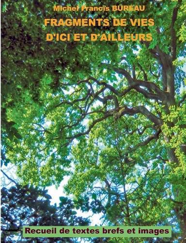 Cover image for Fragments de vies d'ici et d'ailleurs: Recueil de textes brefs et images